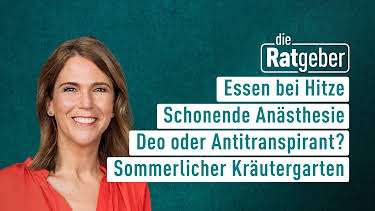 08:20: Die Ratgeber | HR Fernsehen | 7/13 2026