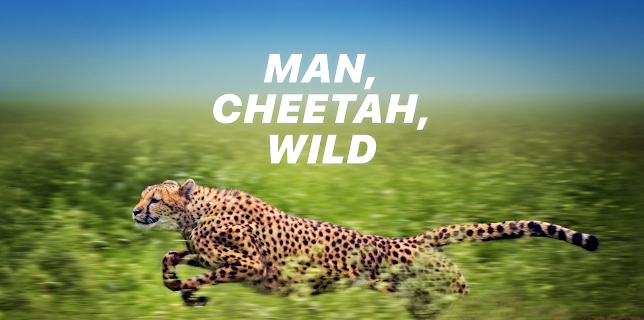 Man, Cheetah, Wild