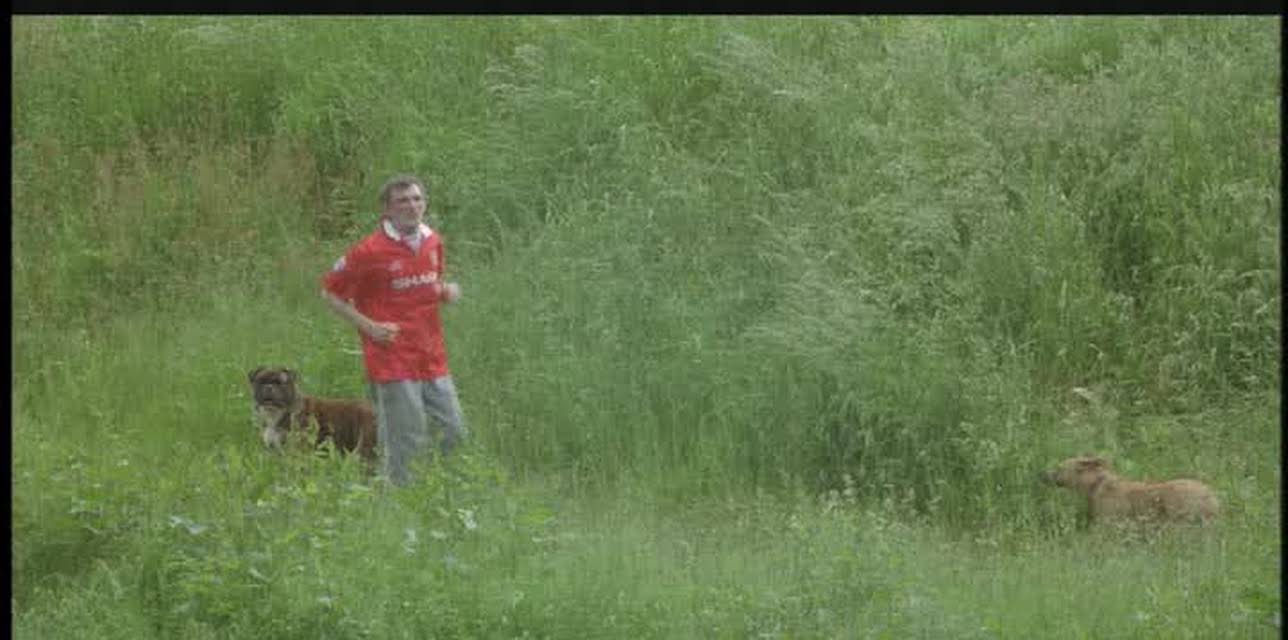 Looking for Eric (2009)