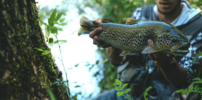 21:35: Esla, el río de los grandes retos | Caza y Pesca | 12/19 2024