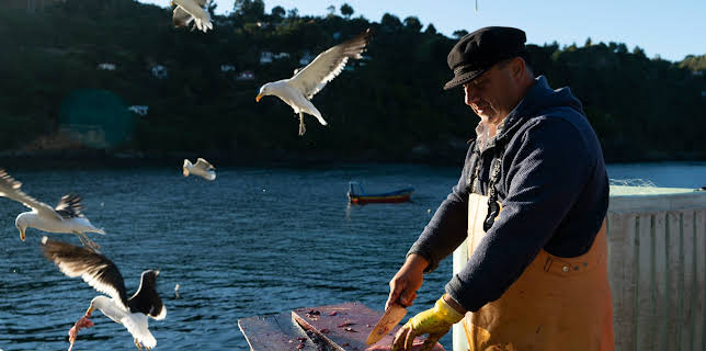 13:00: Patagonia: Life on the Edge of the World (S1 E3) (S1) | TV10 | 2/15 2026