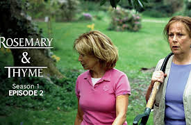 Rosemary & Thyme: Arabica and the Early Spider