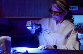 Forensic Files II, Season 1: Family Tree