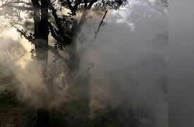 Apparitions: In Search of the Kelsall Witch