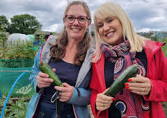 I Escaped to the Country