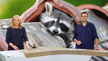 10:00: Schleswig-Holstein Magazin | NDR Fernsehen | 9/30 2026