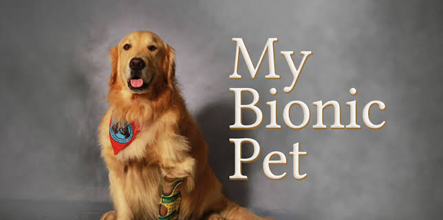 My Bionic Pet (2014)