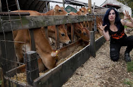 Spooky Kisses Haunts: Night of Terror