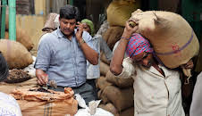 Kräuterwelten Indiens