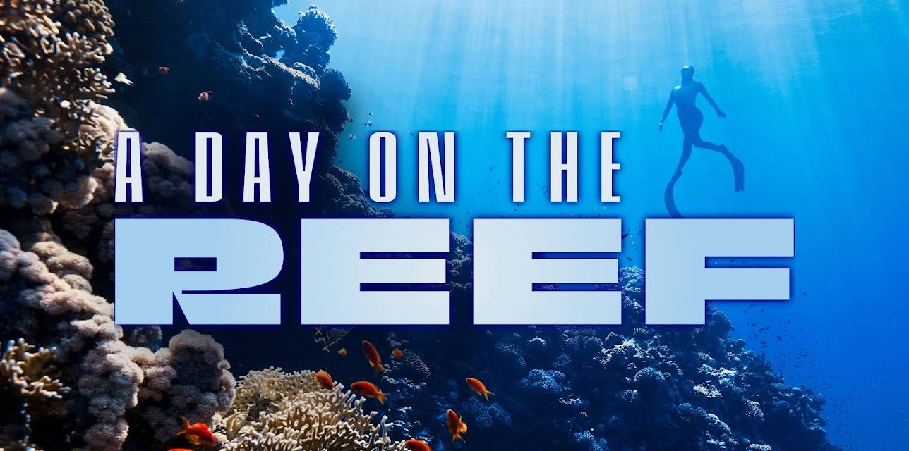 A Day on the Reef: Sipadan (2025)
