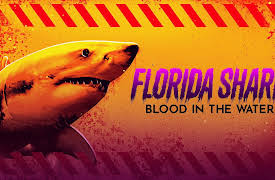Florida Shark: Blood in the Water: Florida Shark