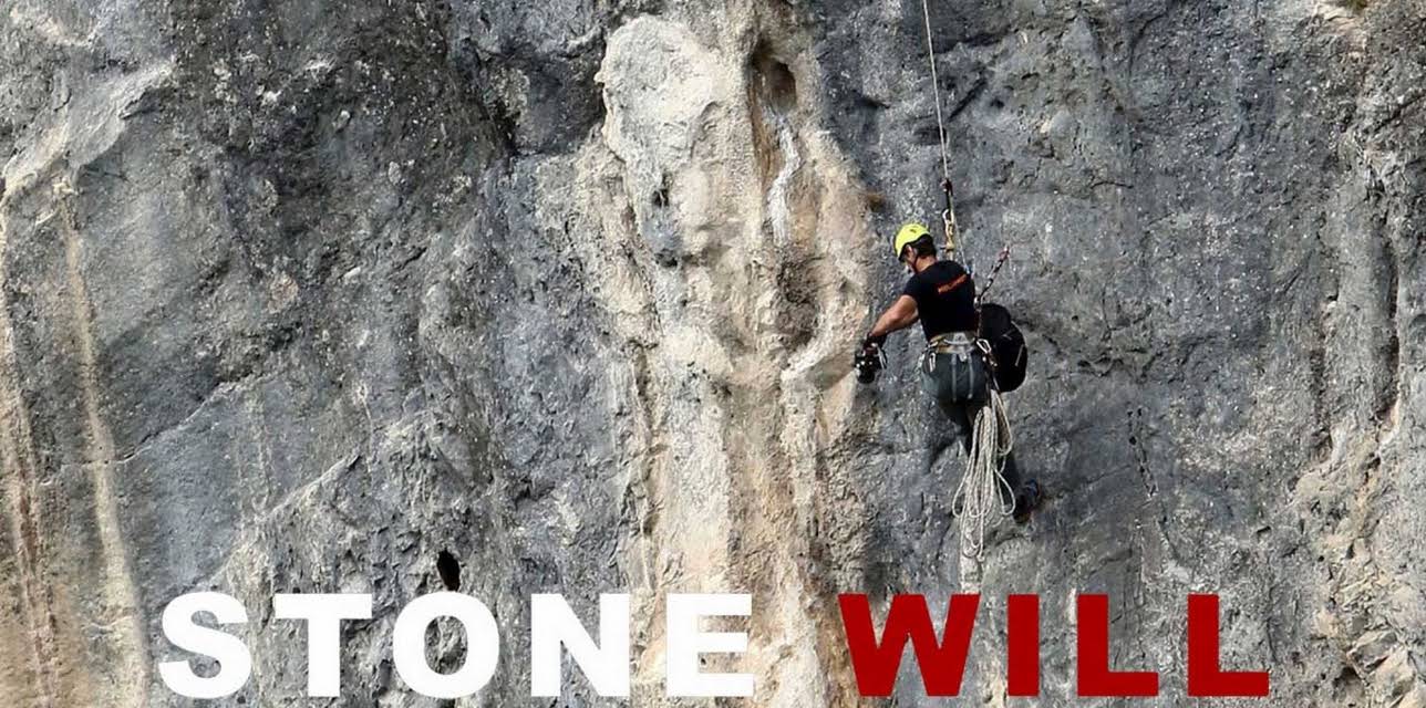 Stone Will (2019)