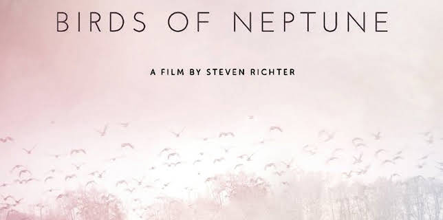 Birds of Neptune (2016)