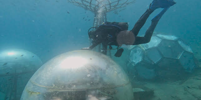 02:55: Zukunft auf dem Wasser - Die blaue Revolution | ZDF | 11/13 2025