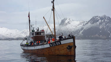 14:15: Eldorado i Lofoten | NRK 1 | 7/12 2026