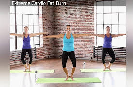 BarreAmped The Complete Boxed Set: BarreAmped Cardio Fat Burn Extreme Cardio Fat Burn