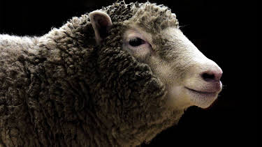 3:45 AM: Dolly: The World's Most Famous... | Channel 4 | 6/22 2026