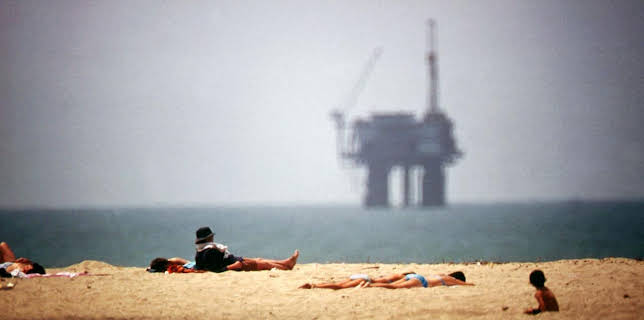 01:10: Documerica - Bilder eines vergangenen Landes | Arte | 1/17 2026