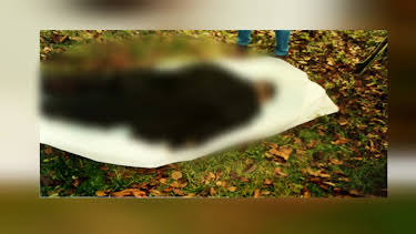 00:45: Ermittler! | ZDFinfo | 4/7 2026