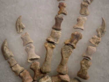 02:40: Pawn Stars - Die drei vom Pfandhaus | ProSieben Maxx | 4/26 2026