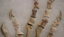 Pawn Stars - Die drei vom Pfandhaus