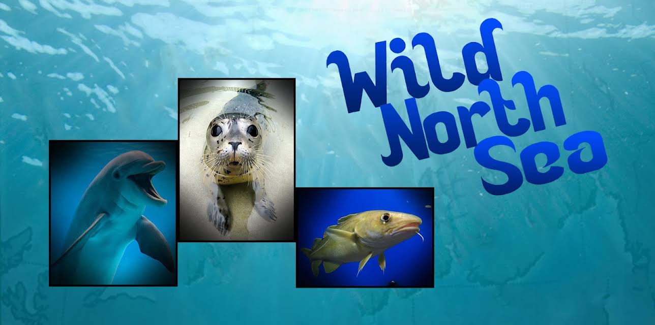 Wild North Sea: Footage Never Seen Before (2013)