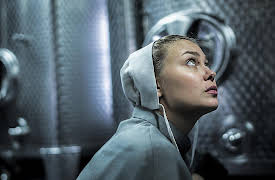 The Crimson Rivers: Season 1: The Day of the Ashes Part 2