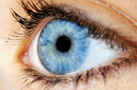 Introduction to Cognitive Science: The Science of Perception and Illusion