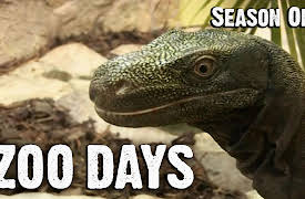 Zoo Days: Episode 14