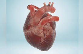 Longevity: E2. Longevity