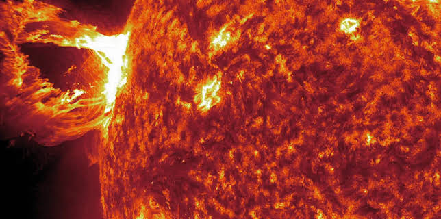 13:05: The Dark Side of the Sun | Animal Planet | 12/2 2025