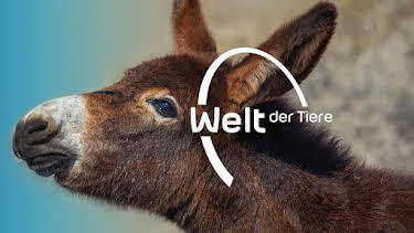 10:25: Welt der Tiere | BR Fernsehen | 3/28 2026