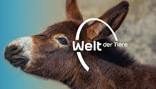 Welt der Tiere