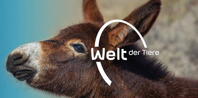 09:25: Welt der Tiere | BR Fernsehen | 11/8 2025