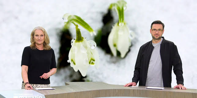 10:00: Schleswig-Holstein Magazin | NDR Fernsehen | 2/21 2026