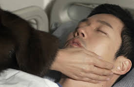 Money Flower: Money Flower Episode 15