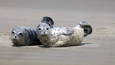 06:00: GEO Reportage | Arte | 4/1 2026