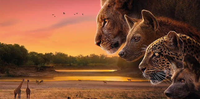 6:20 PM: Kingdom (S1 E1) (S1) | BBC One Scotland | 11/9 2025