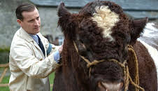 Der Doktor und das liebe Vieh (S05/E01)