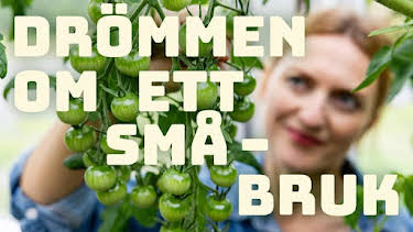 12:50: Drömmen om ett småbruk | SVT1 | 7/28 2026