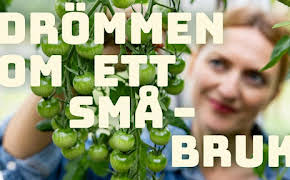 Drömmen om ett småbruk