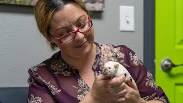 3:00 PM: Dr. Jeff: Rocky Mountain Vet (S6) | Discovery Channel | 9/2 2026