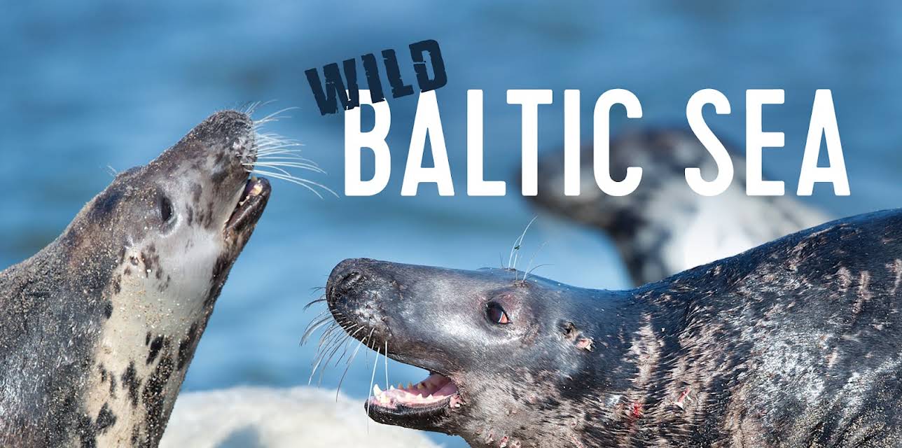 Wild Baltic Sea
