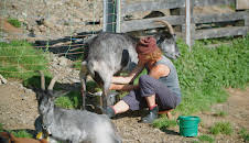 Wilde Schweiz II: Das Calancatal