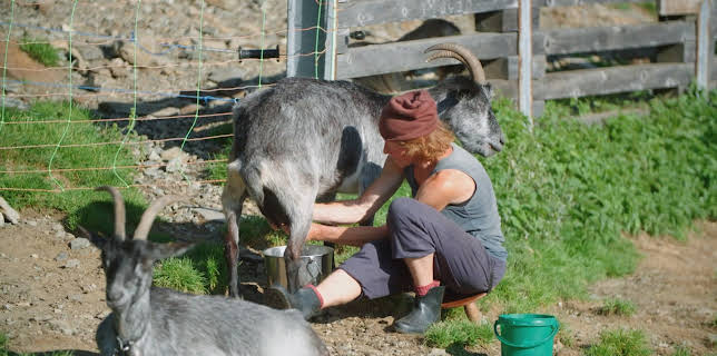 15:50: Wilde Schweiz II: Das Calancatal | 3SAT | 12/4 2025