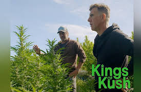 Kings of Kush: Mold's Our Enemy