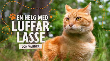 08:00: En dag med Luffar-Lasse | Barnkanalen | 9/27 2026