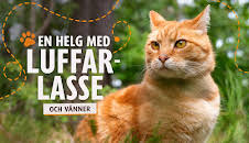 En dag med Luffar-Lasse