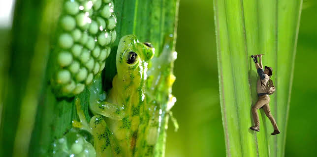 10:55: Andys ville vasseventyr: Andy og glasfrosken | NRK Super | 1/29 2026