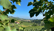 Das Piemont - Genuss am Fuße der Alpen